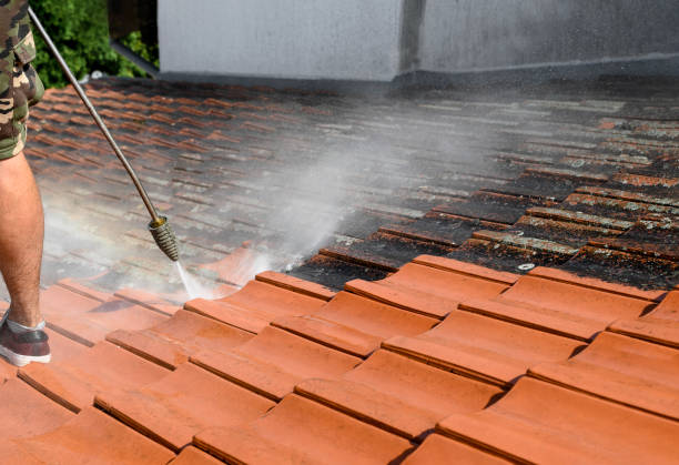 Best Exterior Home Cleaning  in Lford, MI