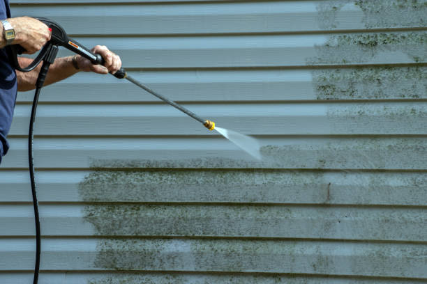 Best Local Pressure Washing Services  in Lford, MI